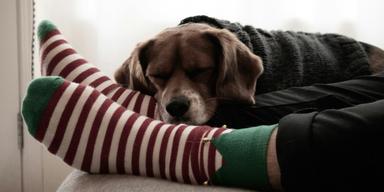 Oavsett om du har svårt att somna eller bara är lite frusen av dig, finns det goda skäl att behålla sockorna på.