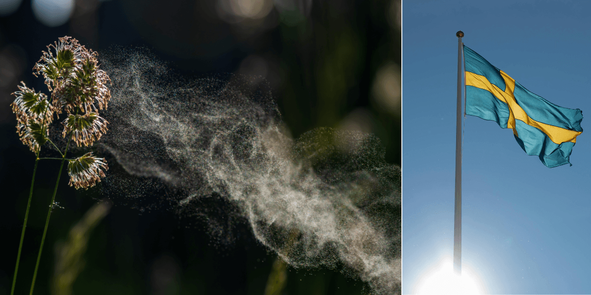 Pollen
