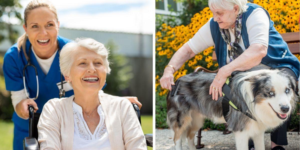En sjuksköterska drar en äldre kvinna i en rullstol och en äldre kvinna borstar en hund.