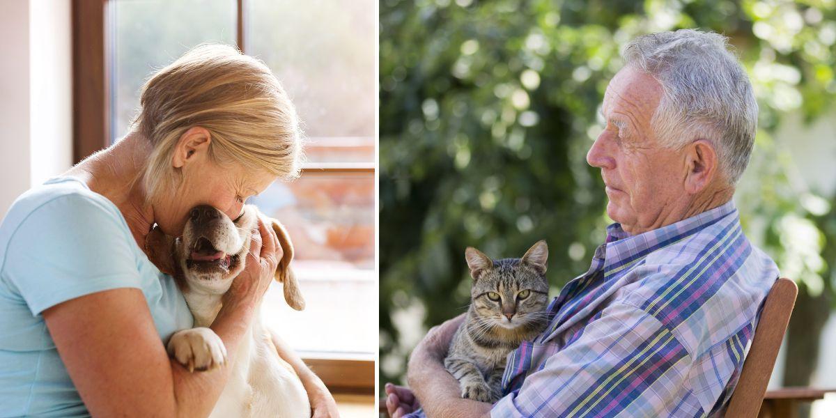 En kvinna kramar sin hund och en man håller om sin katt. Det är enligt en studie lika bra för din livstillfredsställelse att ha ett husdjur som att vara gift