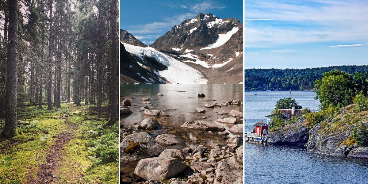 Svensk natur, en skog, Kebnekaise och Stockholns skärgård. Amerikaner, danskar, fransmän, tyskar och svenskar rankar naturen som den en största anledningen till att vilja turista i Sverige