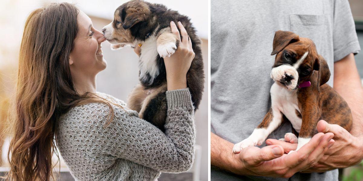 En kvinna håller upp en valp och en man har en valp i famnen. Här är tips om vad du behöver tänka på om du ska skaffa hund