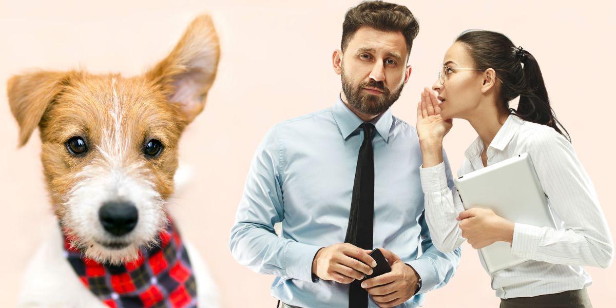 En hund lyssnar på ett par som viskar. En ny studie visar att hundar kan lyssna på oss och urskilja ord som är intressanta för dem. Bilden är ett montage