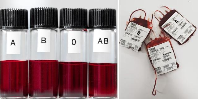 blodgrupp