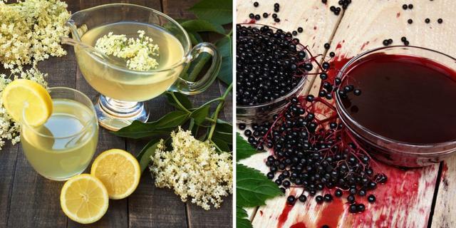 Saft av blommor och bär från ”äkta” fläder, Sambucus nigra