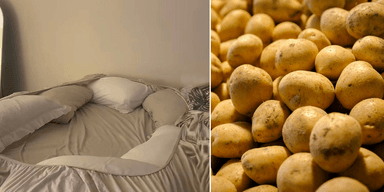potato bed
