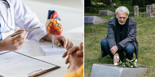 hjärt-kärlsjukdomar