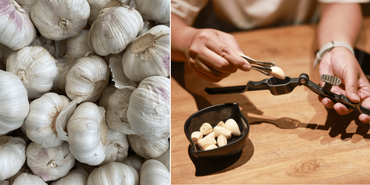 till vänster: vitlökar. Till höger: händer använder en vitlökspress