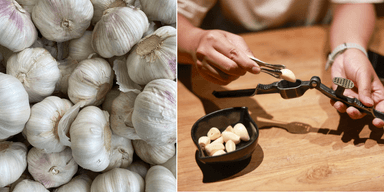 till vänster: vitlökar. Till höger: händer använder en vitlökspress