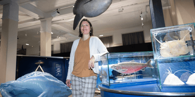 En kvinna på Naturhistoriska riksmuseet.