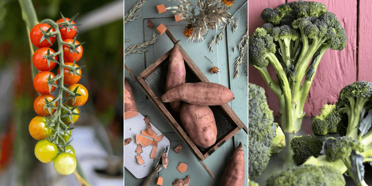 Tomat, sötpotatis, broccoli.