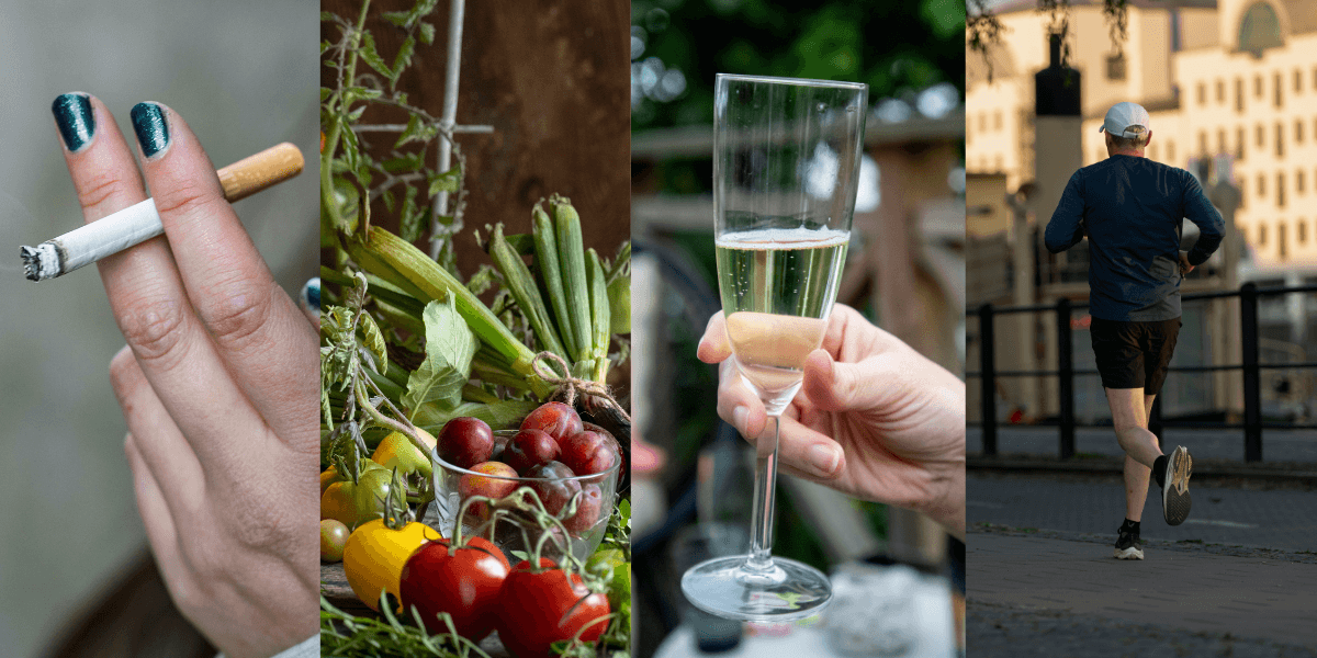 Olika bilder med olika livstilar.