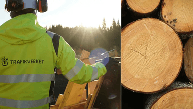 En man men trafikverket-jacka vid Norrbotniabanan till vänster och timmer till höger.