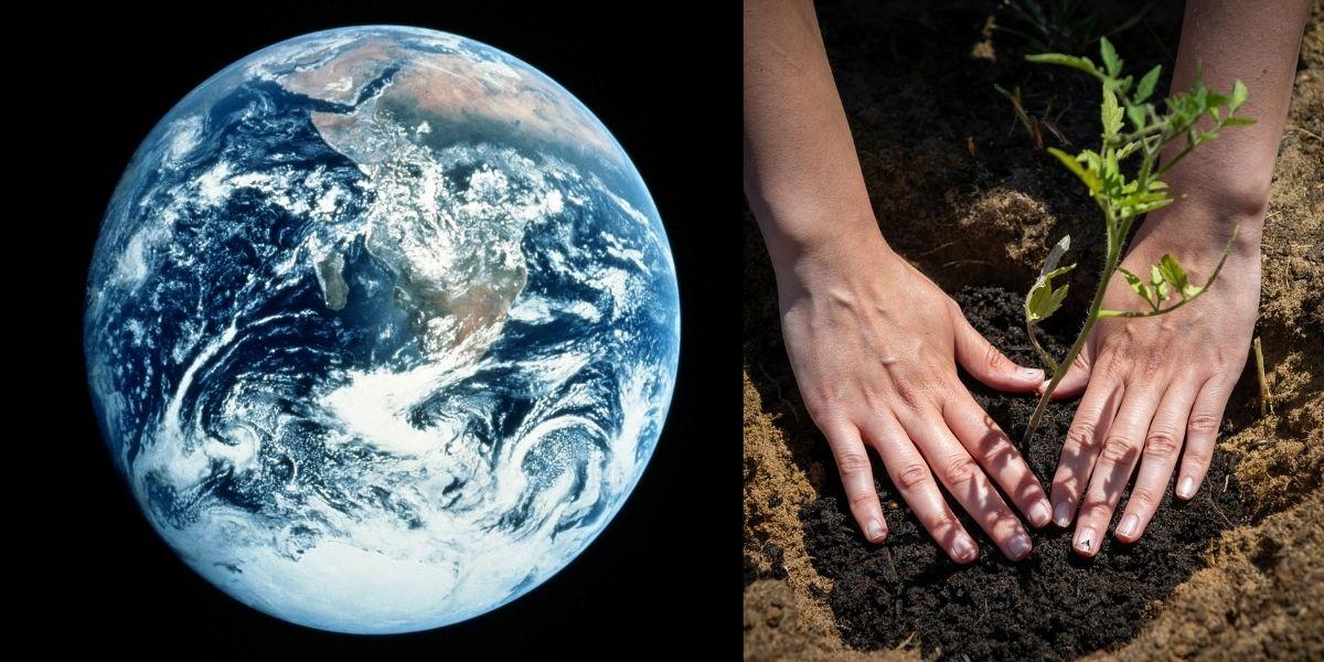 jorden händer som planterar växt