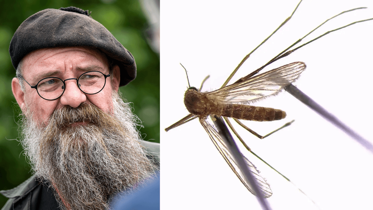 En man i basker och skägg till vänster och en nilfebersmygga till höger.