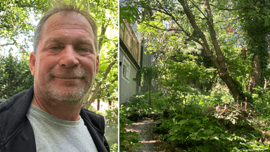 Ulf Sill, Växter