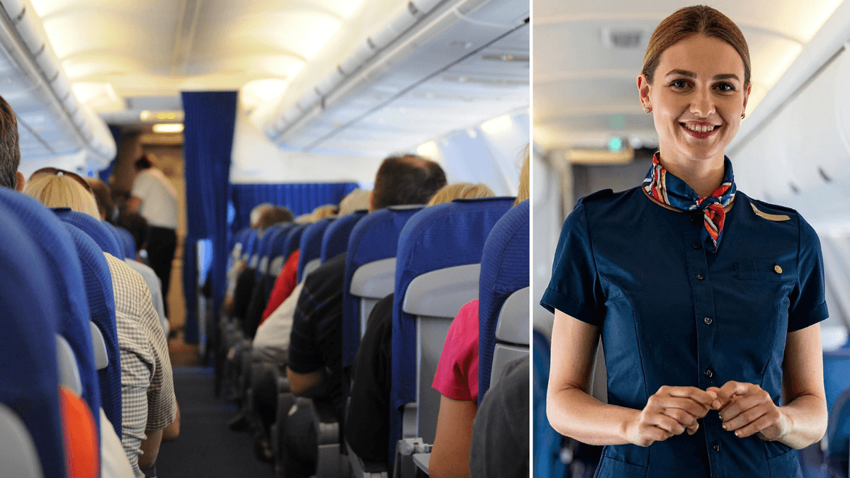 flygplan, flygvärdinna