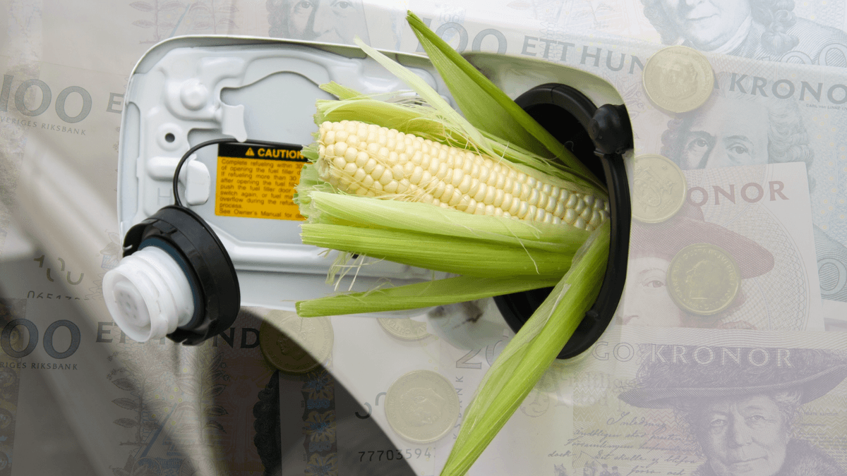 E85