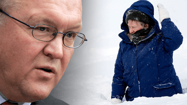 pensionärerna