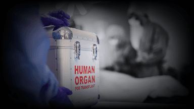 organdonatorer