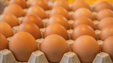 ägg