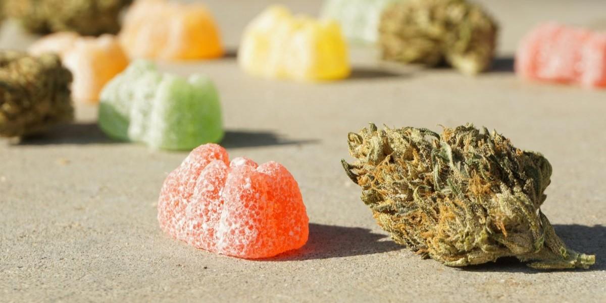 läkare varnar äldre för cannabis