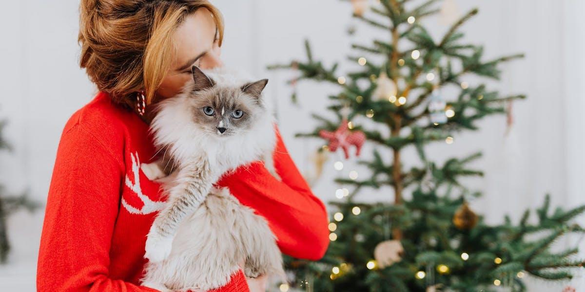 En kvinna kramar en katt. En analys visar att katter är mer populära än hundar både i Europa och i Sverige
