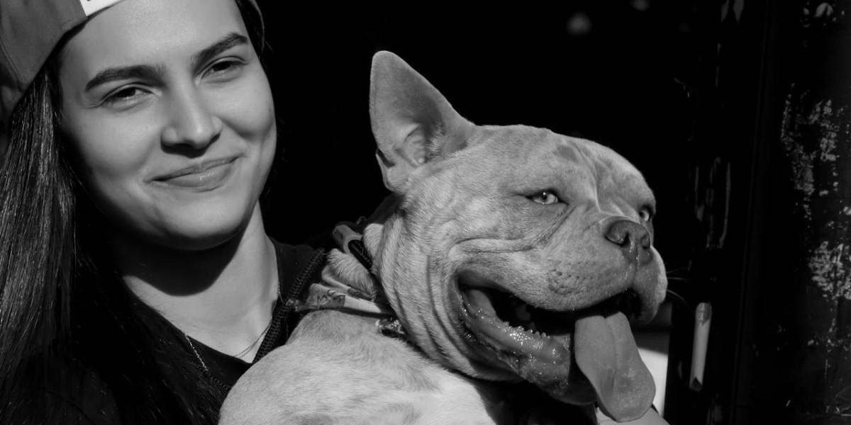 Amerikansk bully XL