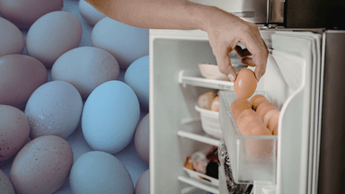 ägg